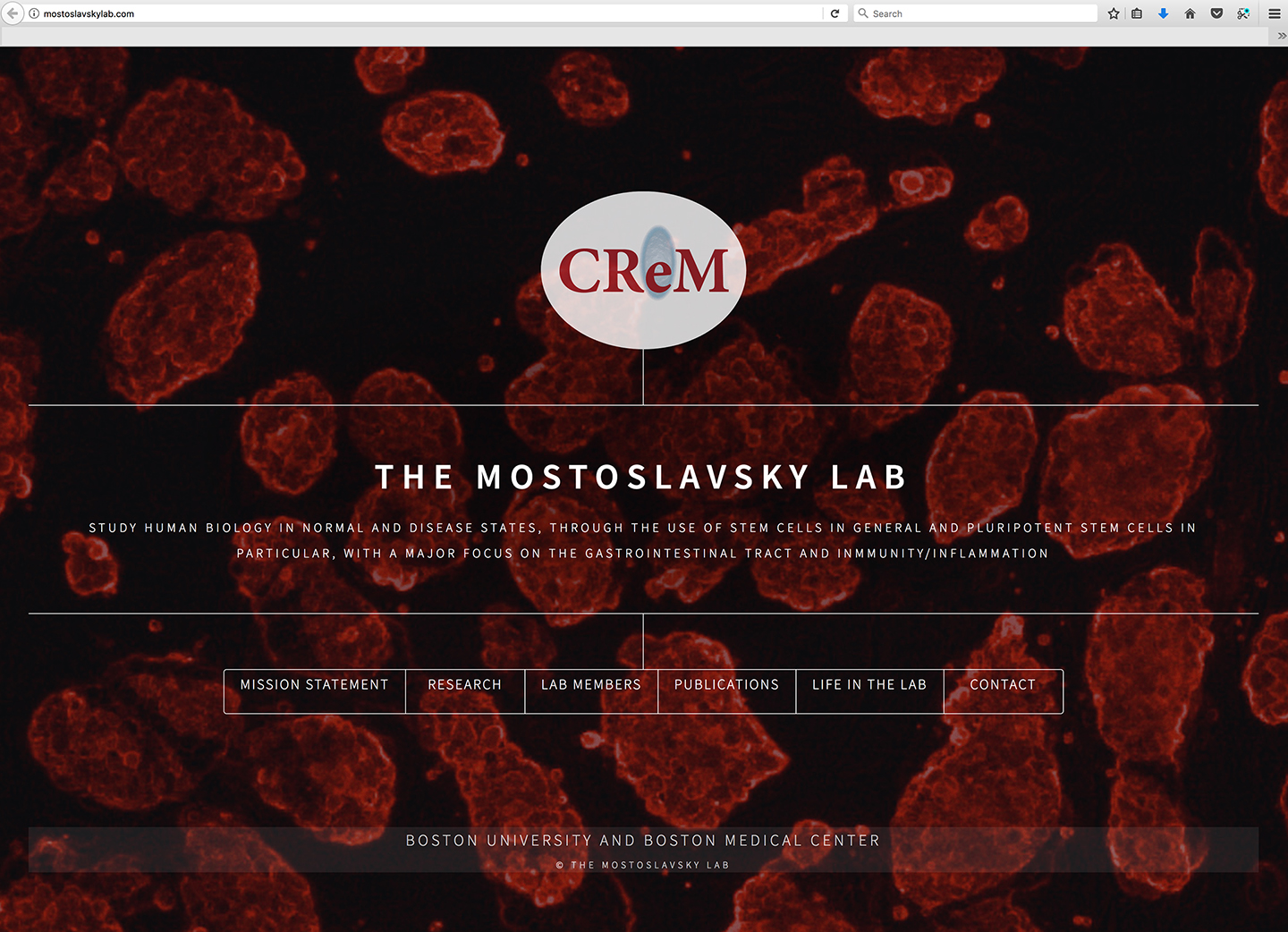 CReM Website Development